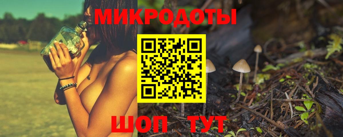 Альметьевск  Псилоцибиновые грибы прущие грибы  Вход с VPN 